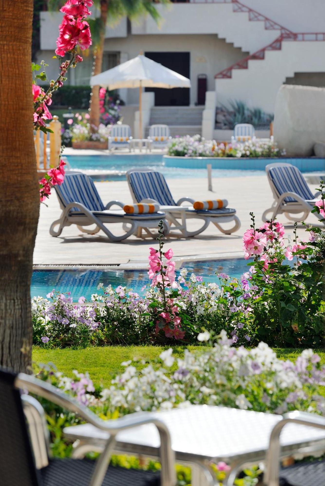 Naama Bay Promenade Beach Resort Managed By Accor Sharm el Sheikh Esterno foto Pool at the hotel