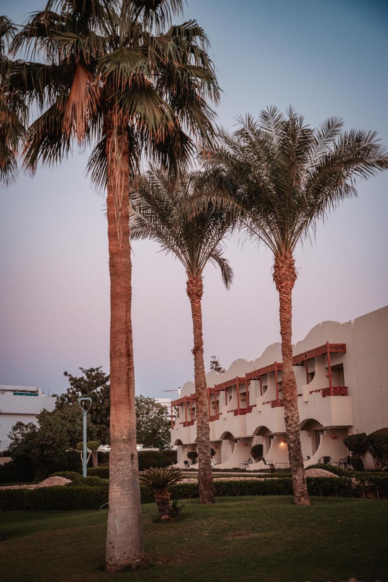 Naama Bay Promenade Beach Resort Managed By Accor Sharm el Sheikh Esterno foto